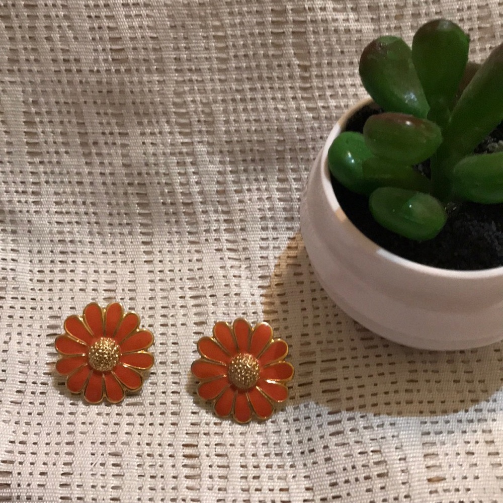 🧡Orange flower